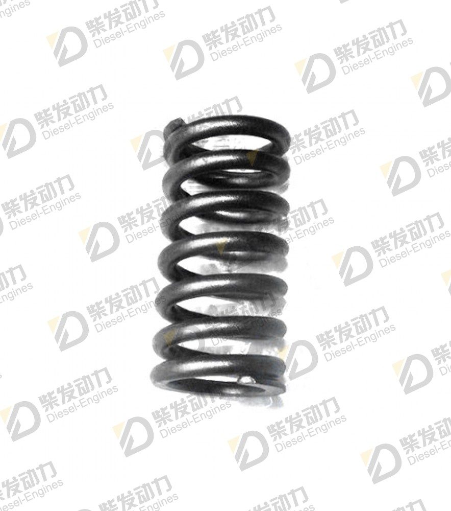 Valve spring 22527820 